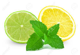 Limon Menta (Caja 4 bidones 4L).